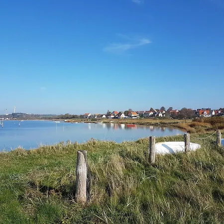 Tinyhouse Thorohuse Holiday home