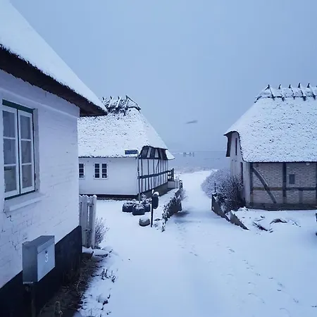 Holiday home Tinyhouse Thorohuse