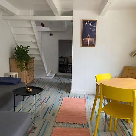 Tinyhouse Thorohuse Dom wakacyjny