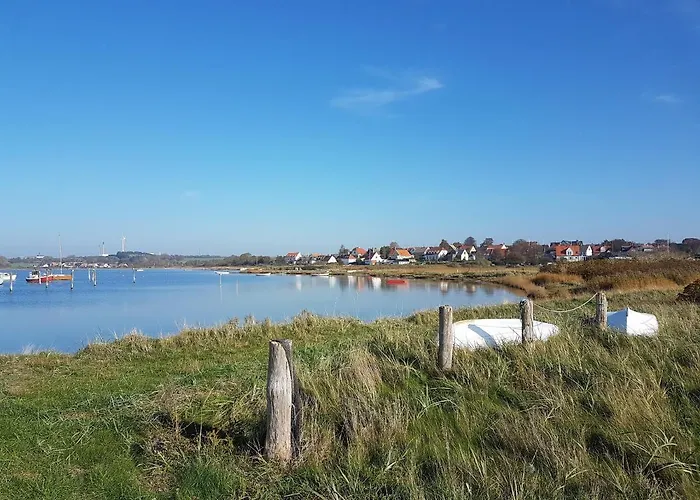 Tinyhouse Thorohuse Dom wakacyjny