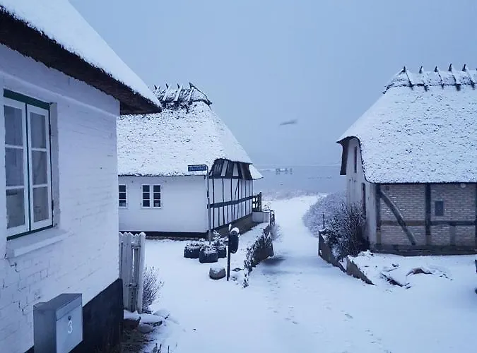 Dom wakacyjny Tinyhouse Thorohuse